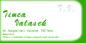 timea valasek business card